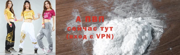 прущие грибы Арсеньев