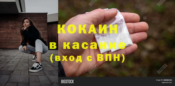 прущие грибы Арсеньев