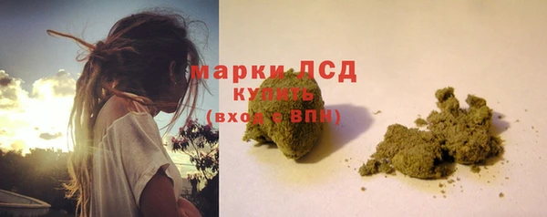 сатива Аркадак