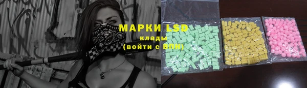 прущие грибы Арсеньев