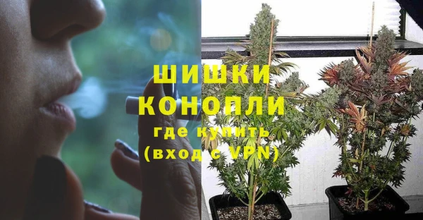 прущие грибы Арсеньев