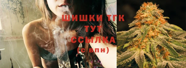 сатива Аркадак